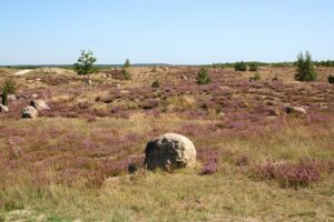 Findlingspark Nochten – Bautzen