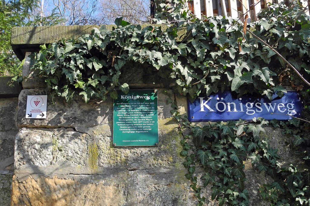 Sächsischer Weinwanderweg – Meißen & Elbland