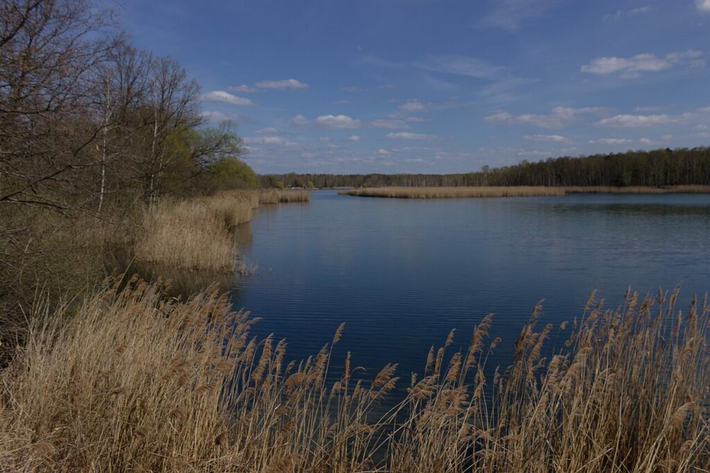 Biosphärenreservat Oberlausitzer Heide- und Teichlandschaft – Bautzen