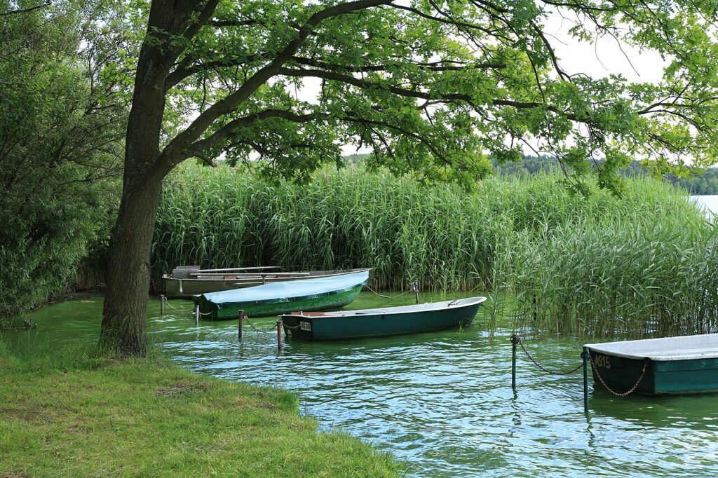 Quitzdorfer See – Grenzland