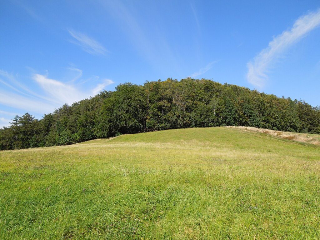 Butterberg bei Waltersdorf – Zittauer Gebirge