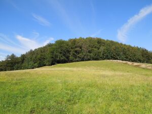 Butterberg bei Waltersdorf – Zittauer Gebirge
