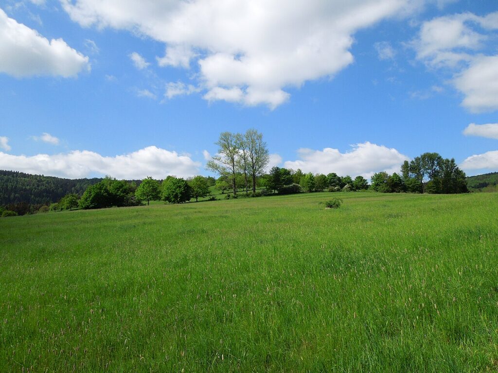 Ottoberg bei Waltersdorf – Zittauer Gebirge